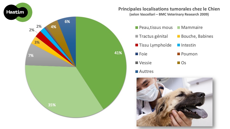 Localisation tumorales du chien