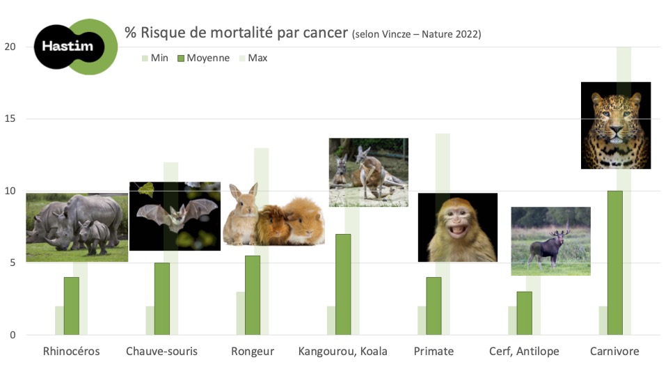 Risque de mortalité par cancer des mammifères